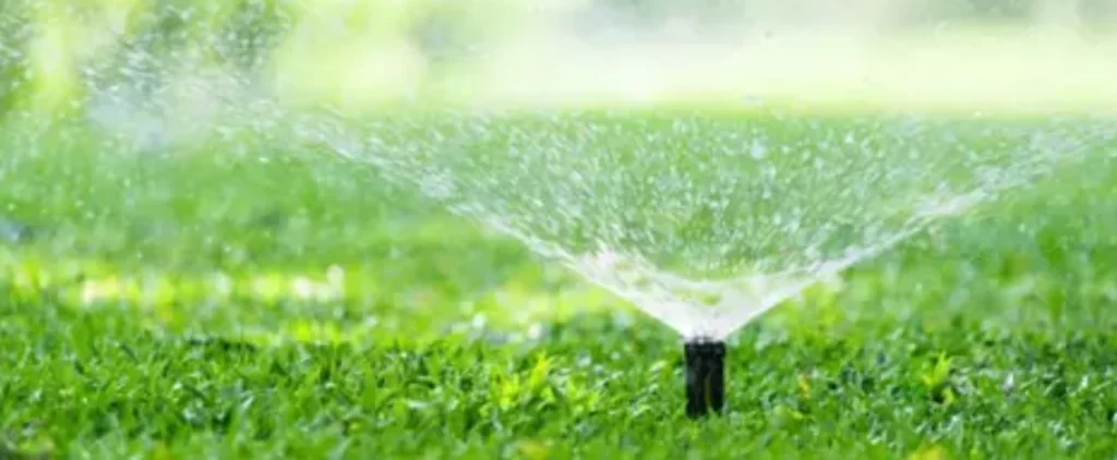 Efficient Watering Techniques for Your Lawn 2 Tips for efficient watering techniques to maintain a healthy lawn