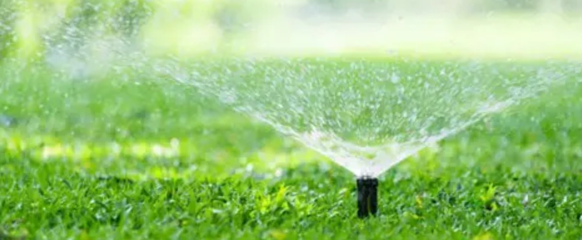 Tips for efficient watering techniques to maintain a healthy lawn