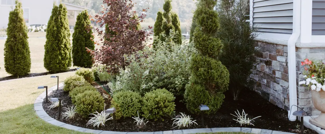 Guide on how to plan the perfect landscape planting bed for your yard
