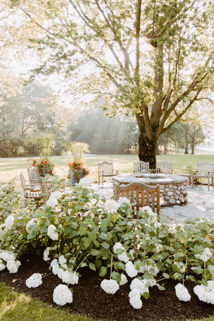 Beautiful stone fire pit surrounded by shrubbery and a giant tree