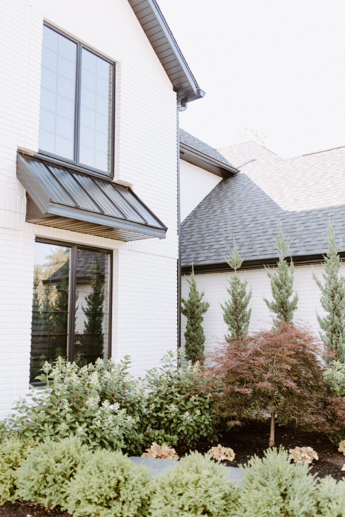 Professionally trimmed trees and shrubs