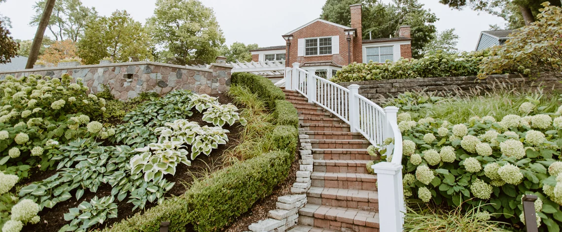 basics of landscaping design