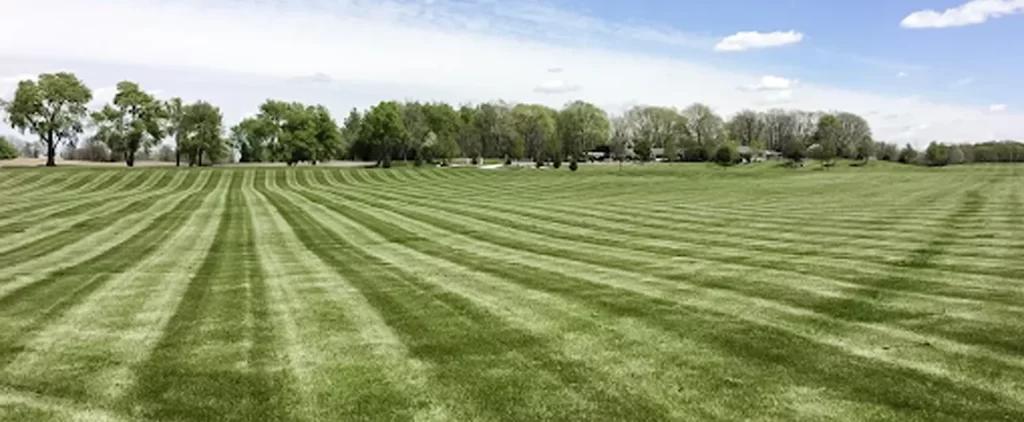 Common Lawn Care Mistakes to Avoid 6 dynamic landscaping mowed lawn