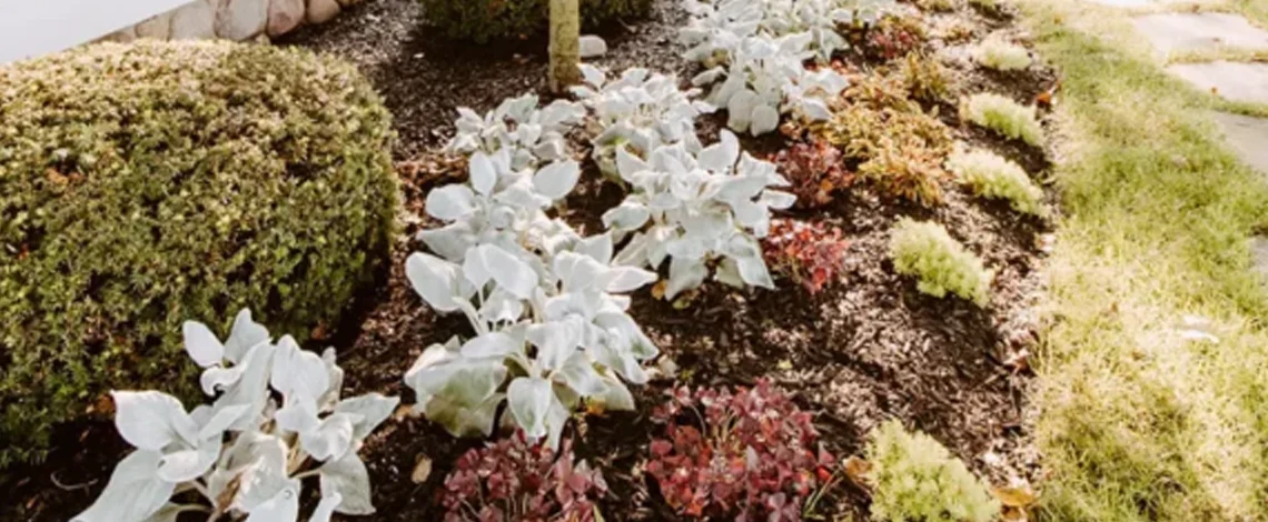 prepare yard for fall