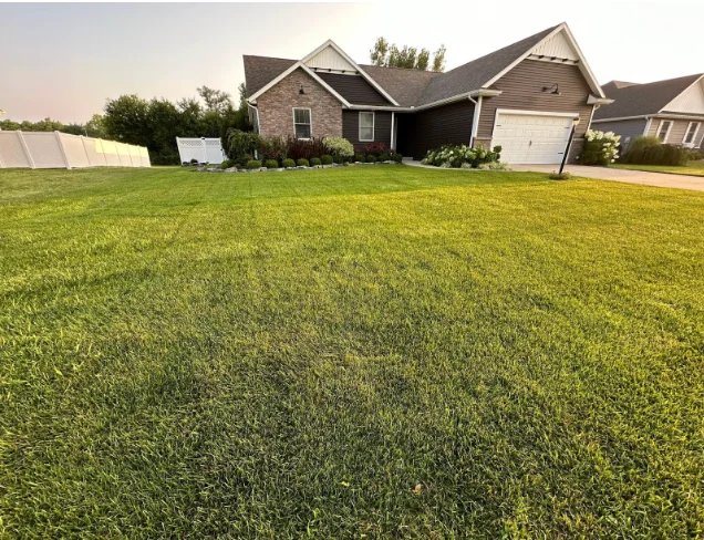 Katelyn Smith Lawn Apps after