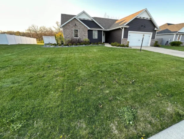 Katelyn Smith Lawn Apps before