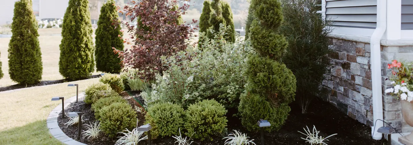 Professional new landscape installation services in Syracuse, Indiana